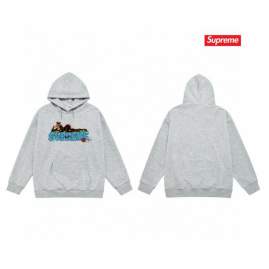 Picture of Supreme Hoodies _SKUSupremeS-2XLthtxS21016046